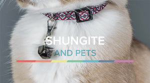 WHY YOUR PET NEEDS SHUNGITE