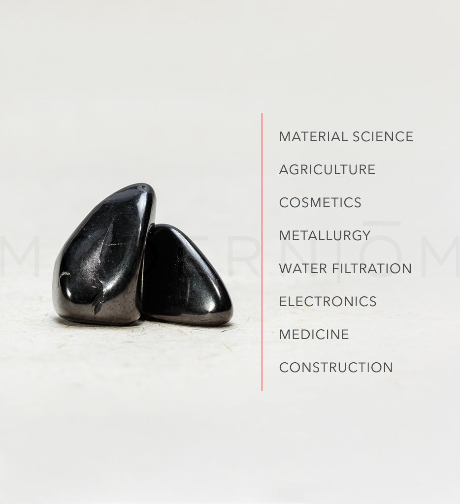Shungite TESLA Ruby Bracelet
