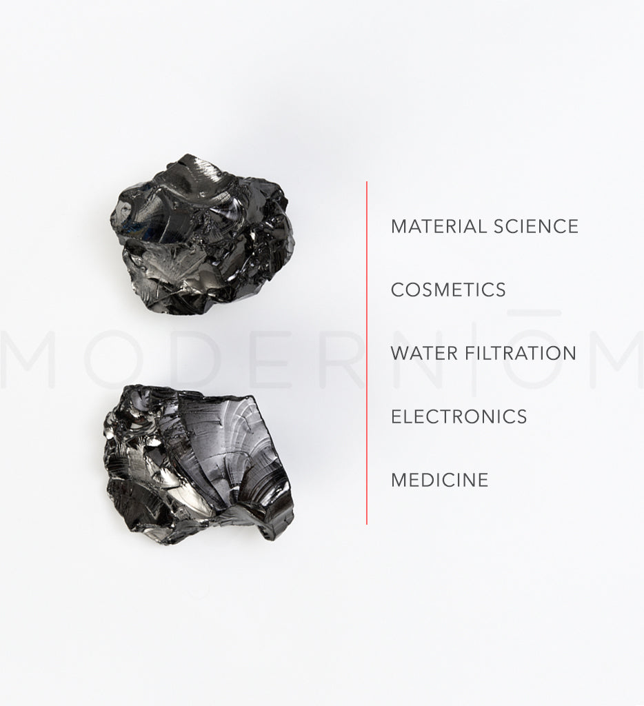 Shungite Pet Charm