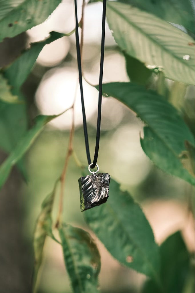 Image in unsupported format format (IMG_0254copy.heic)