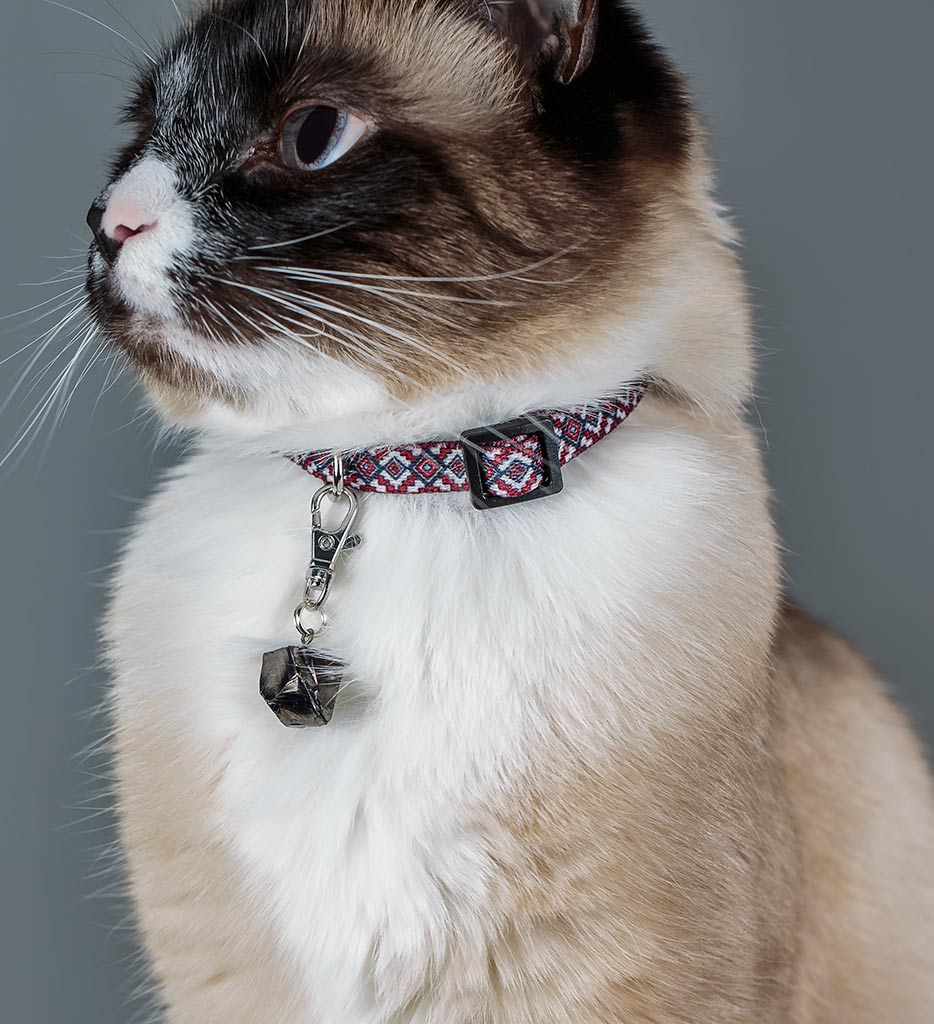 shungite pet charm, cat
