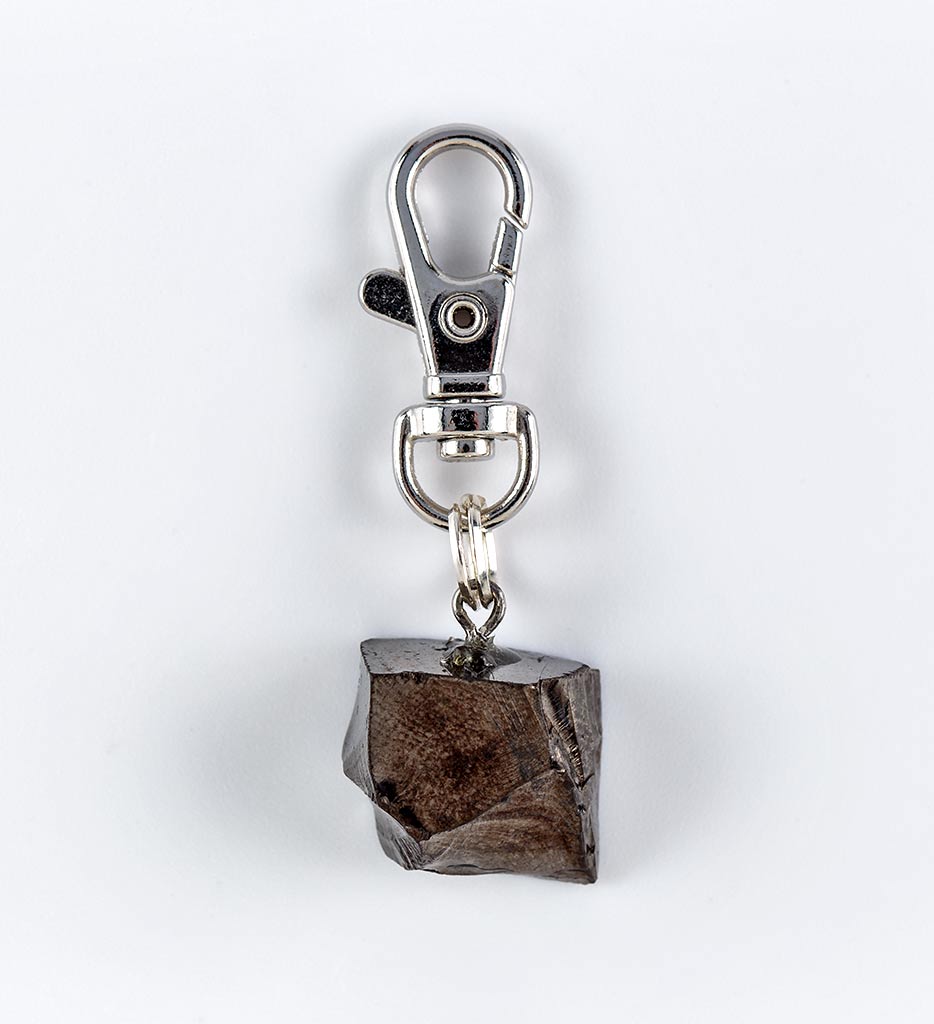 shungite pet charm