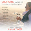 Load image into Gallery viewer, Shungite water kit for clean & energizing living water