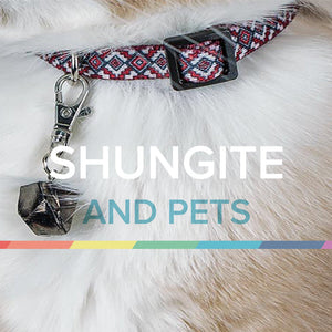 WHY YOUR PET NEEDS SHUNGITE